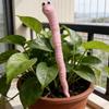 5 Stück Lustige Miniatur-Wurm-Pflanzen-Dekorationen Niedliches Design Topfpflanzen-Dekor DIY-Terrarium