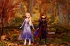 Disney Frozen 2 Forest Expedition Fashion Doll Playset with and Honey Melen Limited Edition Anna, Elsa, Ryder, -