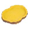 Reptile Food Basin Imitation Bark Lizard Sea Turtle Food Basin for Aquariums Fish Tank