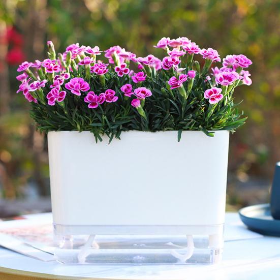 Self Watering Plant Pot with Drainage Holes High Strength Reusable