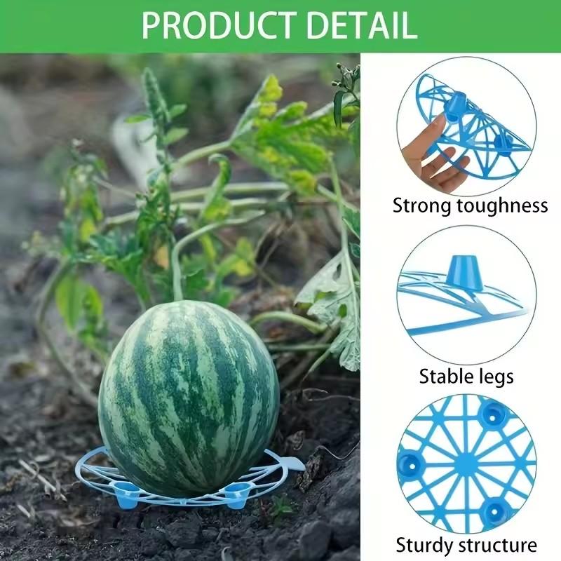 1-5Pcs Watermelon Stand Fruit Stand Support Basket Frame Vegetables Plant Tray Rack Melon Squash Pumpkin Protective Tools