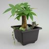 1PCS Plastic Flower Pot Retro Style Flower Bonsai Tree Plant Bowl Nursery Pots Square Small Container Home Garden Decoration