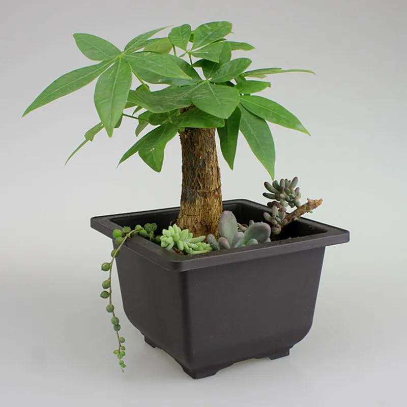 1PCS Plastic Flower Pot Retro Style Flower Bonsai Tree Plant Bowl Nursery Pots Square Small Container Home Garden Decoration