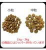 Artemis Agaricus Immune Support Small Grains 3kg [Dog-Friendly Original Imabari Hand Towel Set] [Towel Color: Mocha] [Authentic]