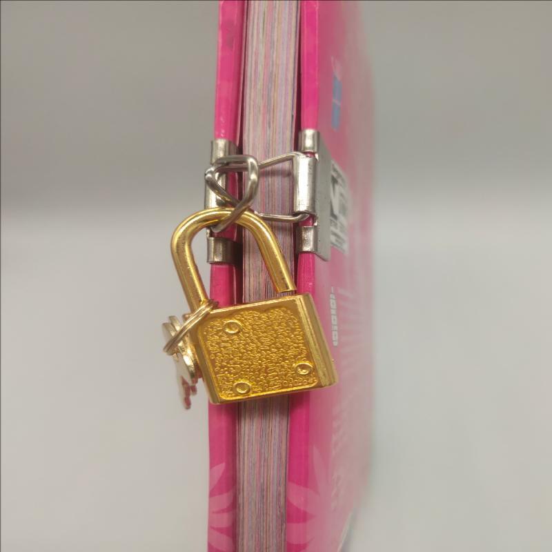 Mini Cadeado de Metal Com Chaves Correspondentes Várias Cores Perfeito Para Caixas de Joias Diários Bagagem E Bolsas Pequenas