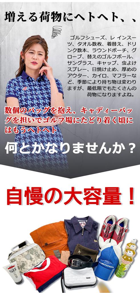 WORLD EAGLE Boston Black for Beginners BB1704-TC Bag, Camel,