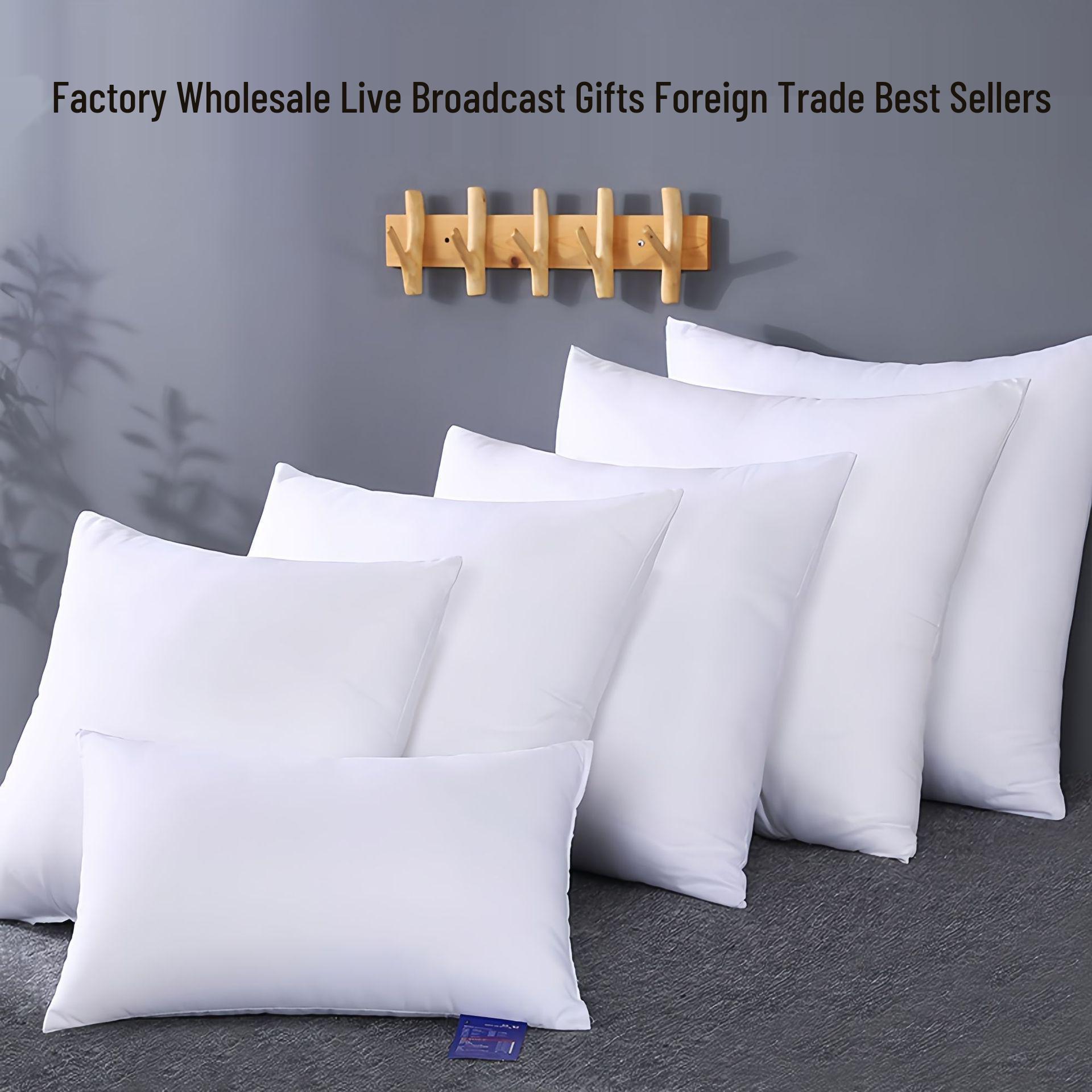 

White Square Pillow Inserts - Bestseller Cushion Gift 30*50cm - Single Pillow