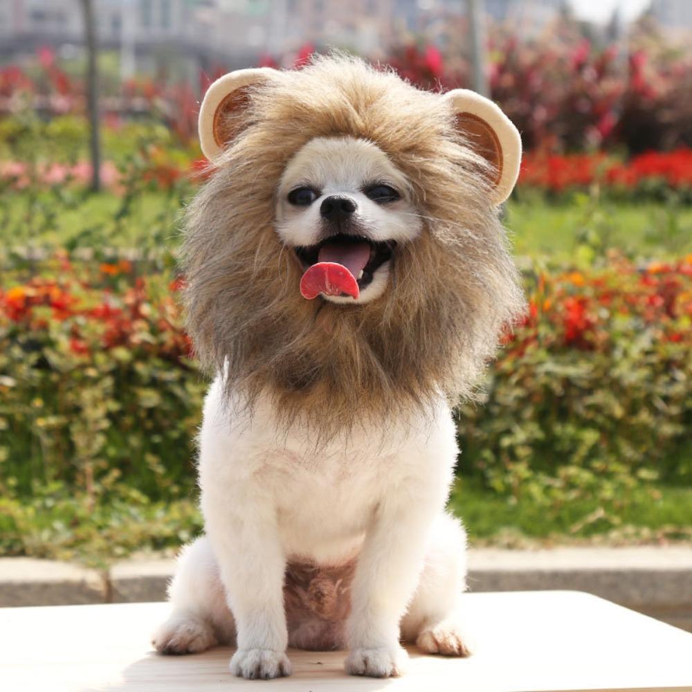 Halloween Lion Mane Hat, Adjustable Pet Costume Cap for Small Medium Large Pets, Funny Animal Cute Cat Dog Costume Accessory