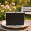 1 Portable Handheld Microphone Protective Case Hard Box Shockproof Dustproof Mic Organizer with Handle for Travel Outdoor