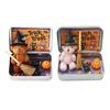 Halloween Bear In A Box Handmade Cute Witch Bear In A Tin for Trick or Treat Miniature Plush Bear with Broom Pumpkin Cat Halloween Party Gift