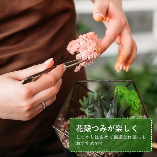 NOLITOY Stainless Steel Tweezers with Curved Tips, Garden Hand Tool for Succulents and Bonsai, 5 Pieces