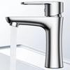 Stainless Steel Basin Faucet