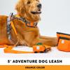Embark Pets Adventure Leash for Dogs, Orange, 150cm (length) x 2.5cm (width)
