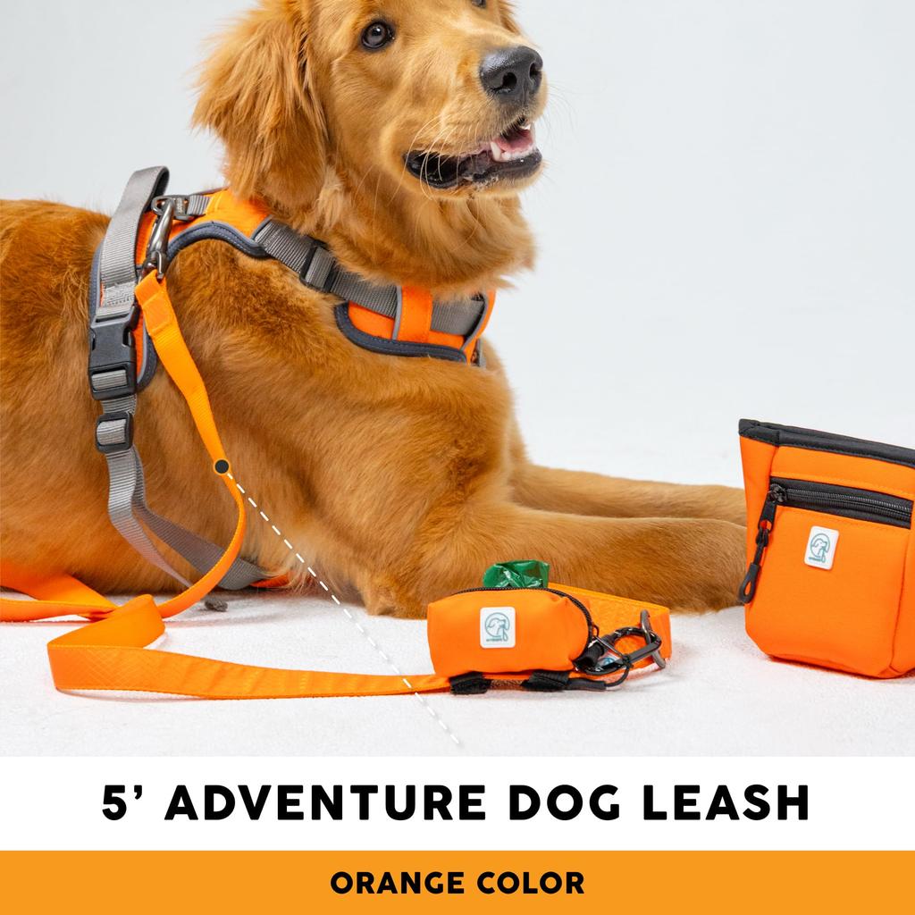 Embark Pets Adventure Leash for Dogs, Orange, 150cm (length) x 2.5cm (width)