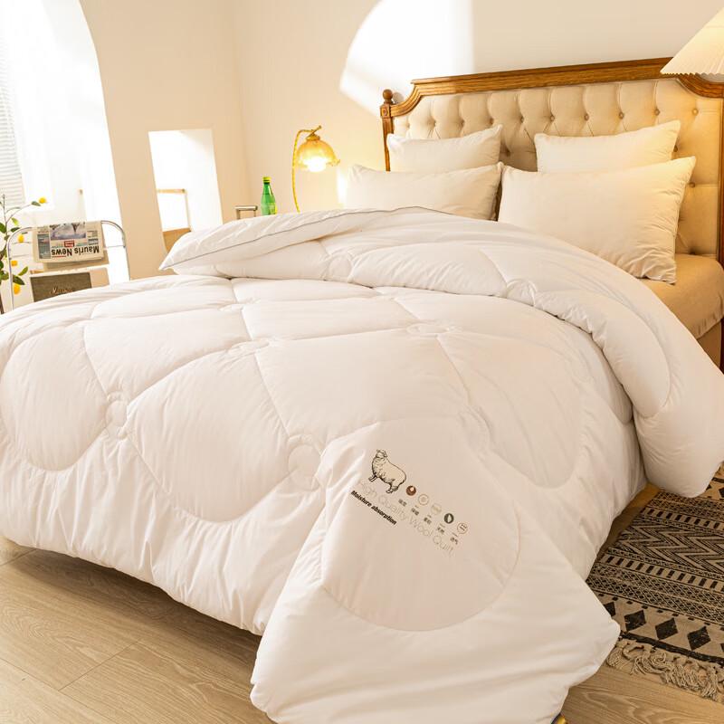 Thickened Warm New Zealand Wool Quilt