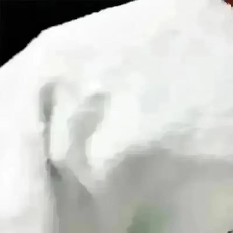 Lebendige Lila Pilz-Print Fleece-Decke Weiche Warme Flanelldecke für Sofa Bett Reisen Camping Wohnzimmer Büro Ganzjahres