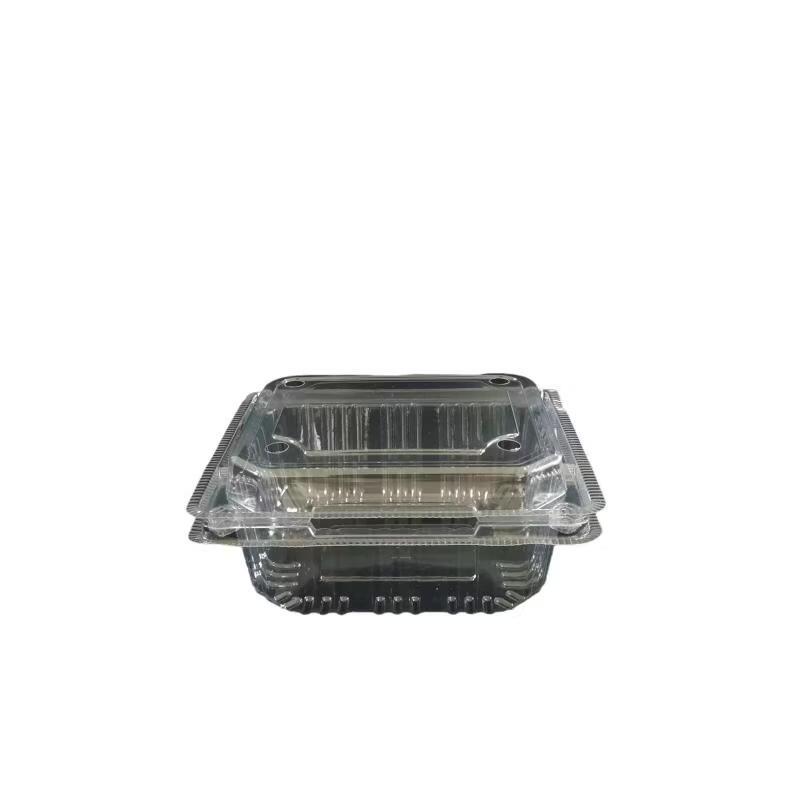 Disposable Transparent Food Container with Lid