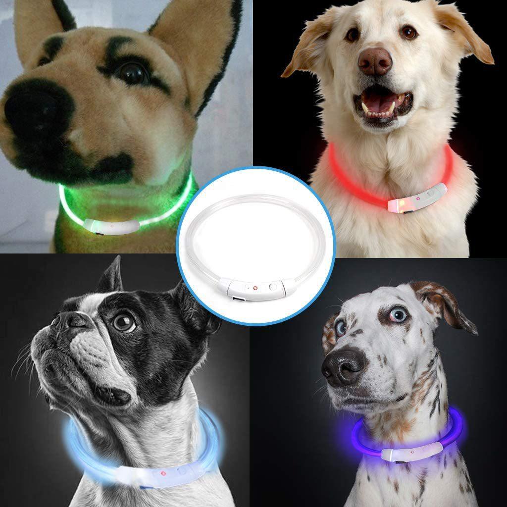 USB Rechargeable LED Fiber Optic Collar for Pets Luminous Anti-Lost Dog Accessory Outdoor Light Collar
