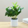 Artificial Plant Bonsai Unfading Decorate Exquisite Details Exquisite Small Tree Simulation Pot Plant for Home
