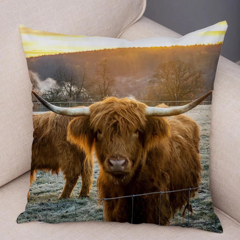 Scotland Kyloe Pillow Case Decor Wild Cow Colorful Animal Print Pillowcase Soft Short Plush Cushion Cover for Home Sofa 45x45cm