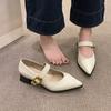 Pointed Toe Mary Jane Shoes Women's Spring New Vintage Versatile Block Heel One Strap Shoes