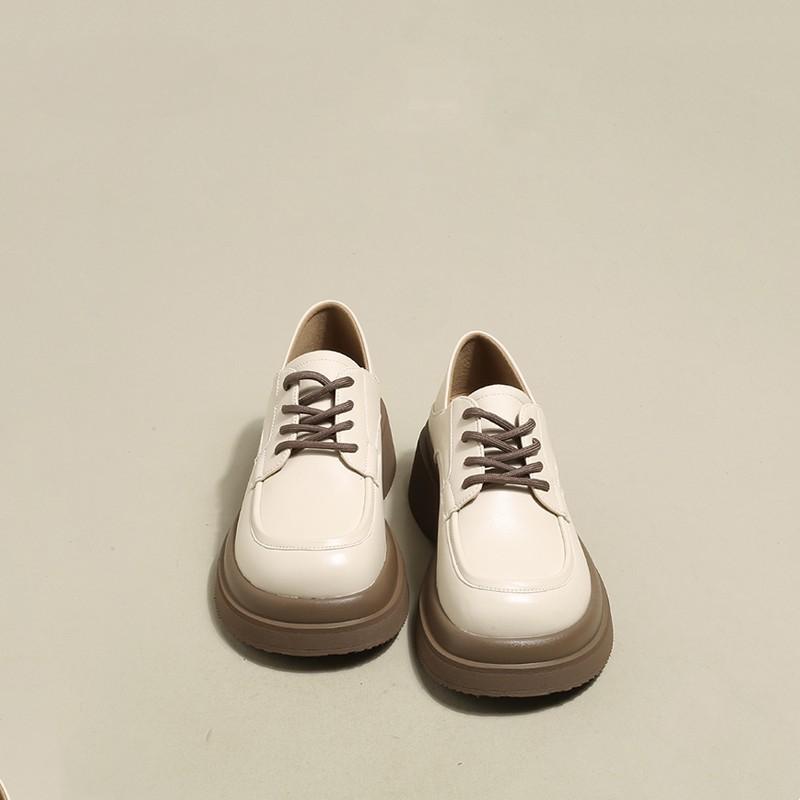 Mary Jane Women's Shoes Spring Hundred Ride Thick Bottom British Style Shoes Niche Le Fu Single Shoes