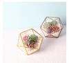 Mini Glass Geometric Terrarium Container Gold Terrarium Set Glass Flower Pot Planter Vase Bowl Display Box Decor