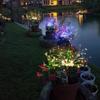 Sinso Solar Fireworks Decorative Garden Lights