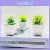 Artificial Succulent Plant Miniature Garden Decorative Pot For Home Office Desk Decor