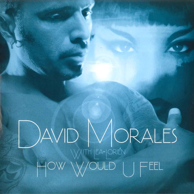 12inch Record DAVID MORALES, LEA-LORIEN - How Would U Feel DM101 DMI 2004 US Dance & Electronica Used