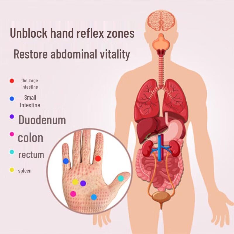 CLORIS Warm Compress Abdominal Massager