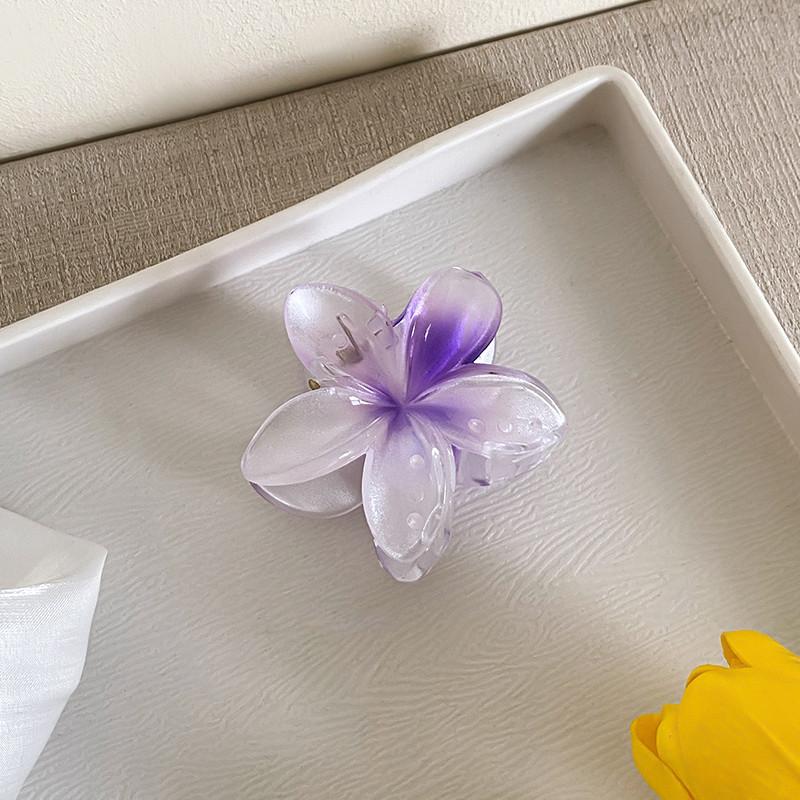 6cm Acryl Farbverlauf Frangipani Haarspange Damen Koreanisch Süß Haifischclip Haaraccessoires