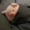 Cute Pig Plush Doll - Adorable Gift for Girlfriend or Birthday, Perfect as Sleeping Pillow or Rag Doll