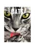 The Cats Book