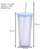 Double-Layer Plastic Straw Cup, Matte Cup, Outdoor Sports Water Cup