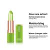 VIBELY Aloe Vera Moisturizing Warm Color Changing Jelly Lipstick Moisturizing Lip Gloss Lip Care Lip Care Lip Balm