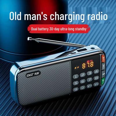 SAST N28 Tragbares Radio & Musikplayer CN-Stecker (Adapter enthalten)