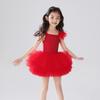 Girls' Summer Ballet Dress: Dance Costume with Suspender Leotard & Grading Skirt