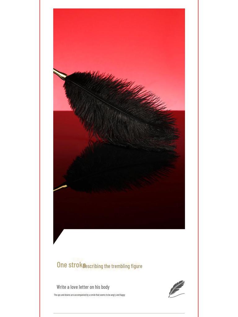 Miji 48-Piece Ostrich Feather Teaser Stick Set for Couples