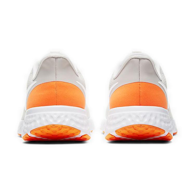 Nike Revolution 5 Platinum Tint