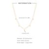 S925 Silver Diamond Scarf Necklace Personalized Fashion Clavicle Chain Delicate Premium Set