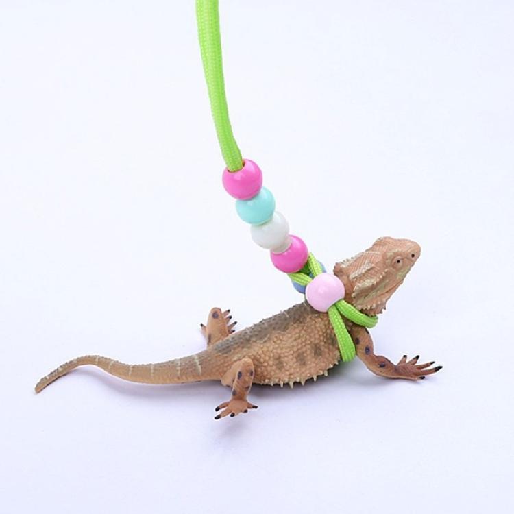 150cm Reptiles Leash with Adjustable Buckle Flexible Reptiles Traction Rope