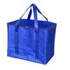 Sac fourre-tout isotherme de 35 L, grande capacité, avec fermeture éclair et large sangle, idéal pour la plage, la pêche et la randonnée.