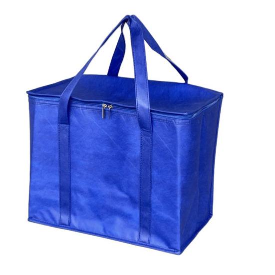 Sac fourre-tout isotherme de 35 L, grande capacité, avec fermeture éclair et large sangle, idéal pour la plage, la pêche et la randonnée.