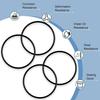 Replacement 6235 O-Ring for No-Spill Gas Can Nozzle Assembly (4 Pack)