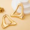 Women's Earrings, Exaggerated Geometric Earrings, Suitable for Daily Wear and Vacation Wear