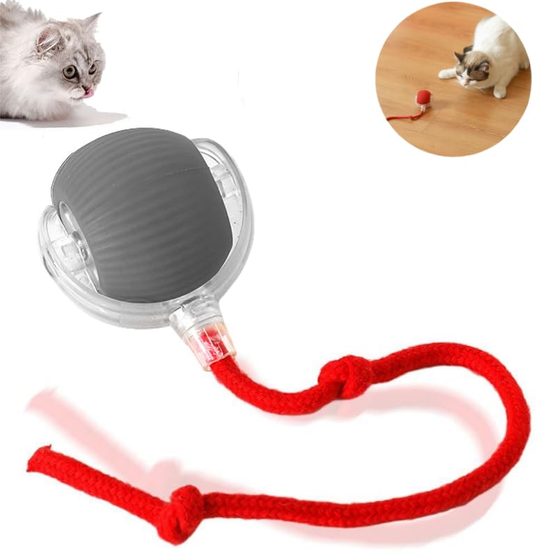 

Интерактивная моторизованная игрушка-мяч для кошек с возможностью подзарядки через USB-порт, с прочным корпусом и встроенной литий-полимерной аккумуляторной батареей - развлекательный аксессуар для домашних животных серый