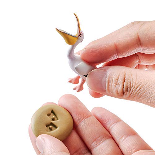 Colorata Zoological Region 3 Figure 3D Encyclopedia (Old Northern and New Northern Region Animals / 12 Types / with Explanation Booklet) Realistic Fig