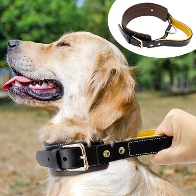 wide band dog collar