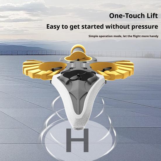 

Remote Flying Flip Longsword Glider with Control Easy to Fly Kids One Battery золотистий